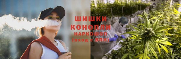 индика Балабаново