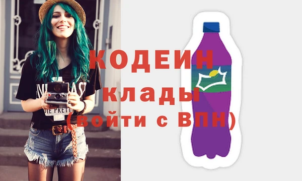 индика Балабаново