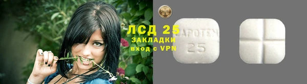 индика Балабаново