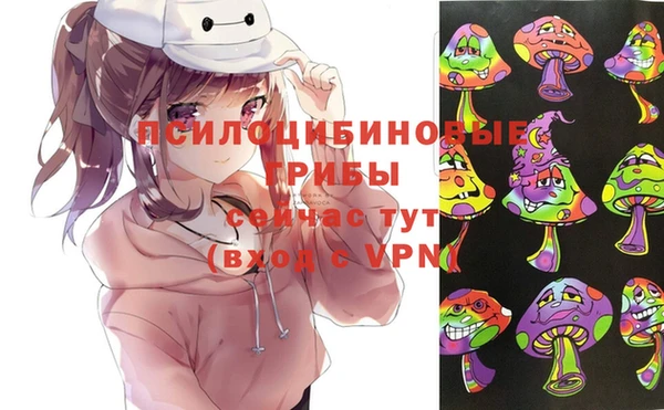 соль ск Балахна