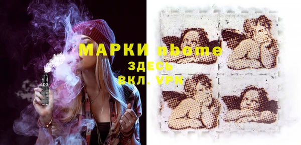 индика Балабаново
