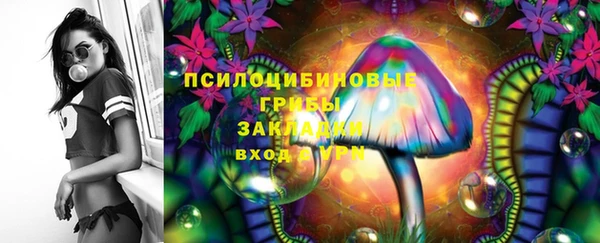 индика Балабаново