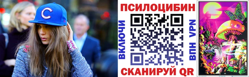 Галлюциногенные грибы Cubensis  магазин продажи   Усть-Катав 